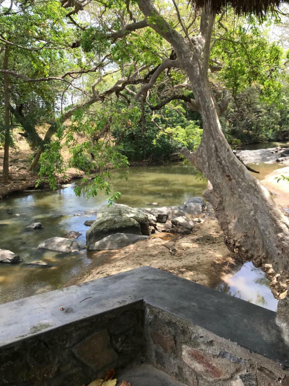 Galapita Eco Lodge Buttala 外观 照片