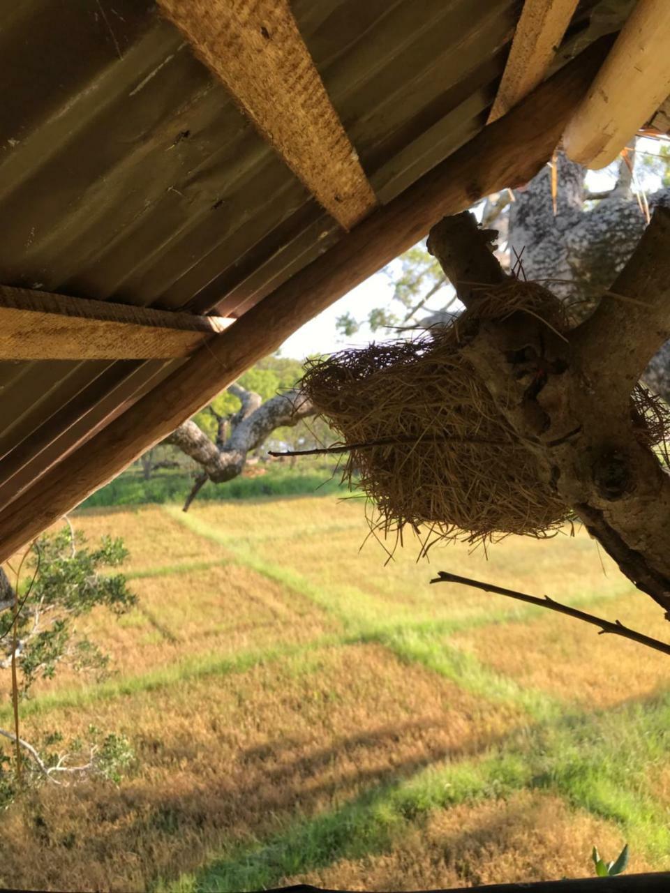 Galapita Eco Lodge Buttala 外观 照片