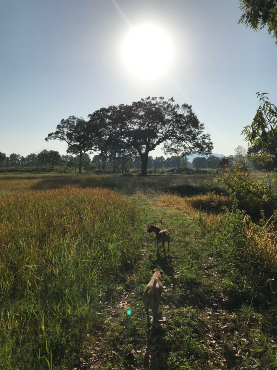 Galapita Eco Lodge Buttala 外观 照片