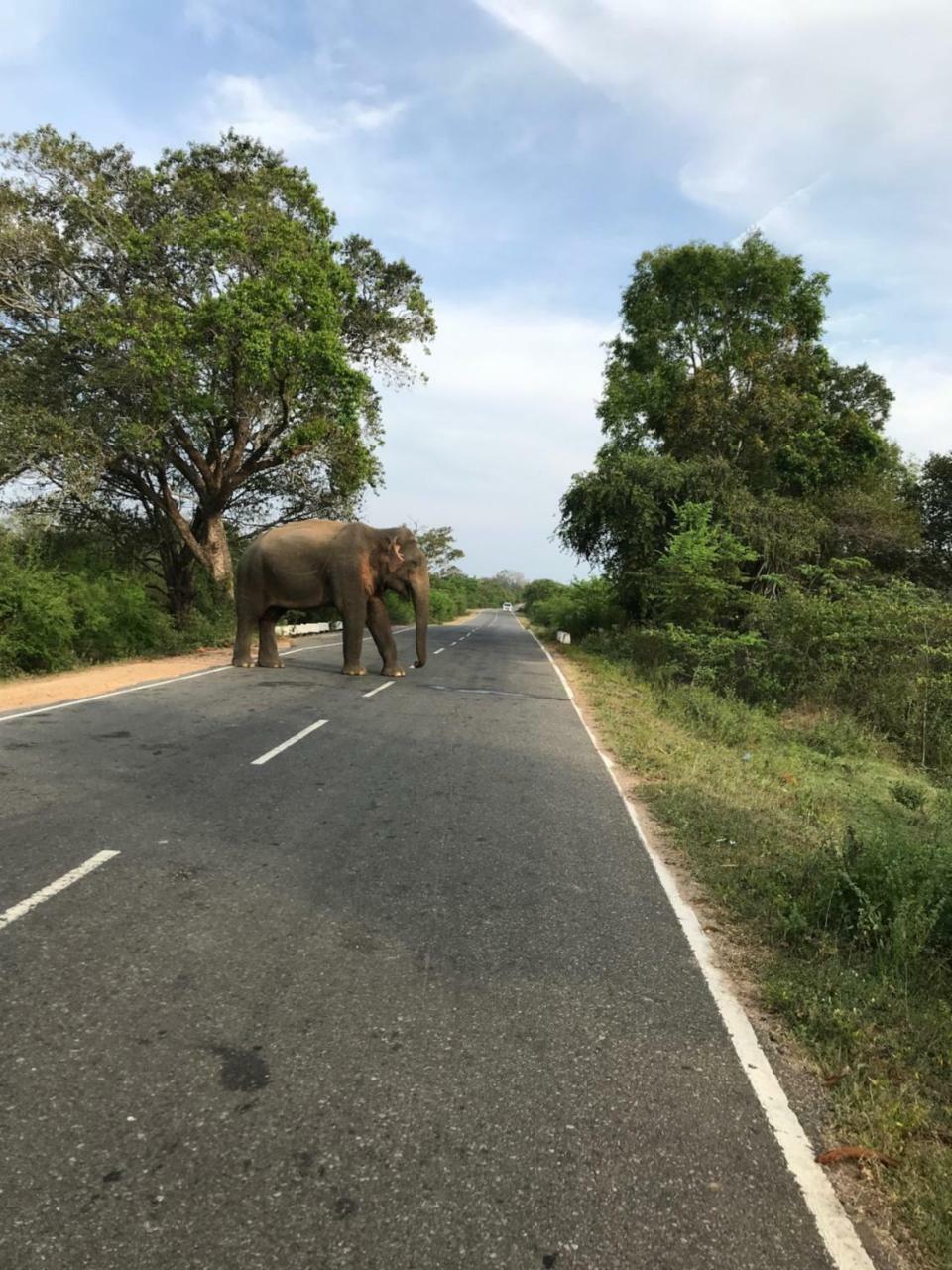 Galapita Eco Lodge Buttala 外观 照片