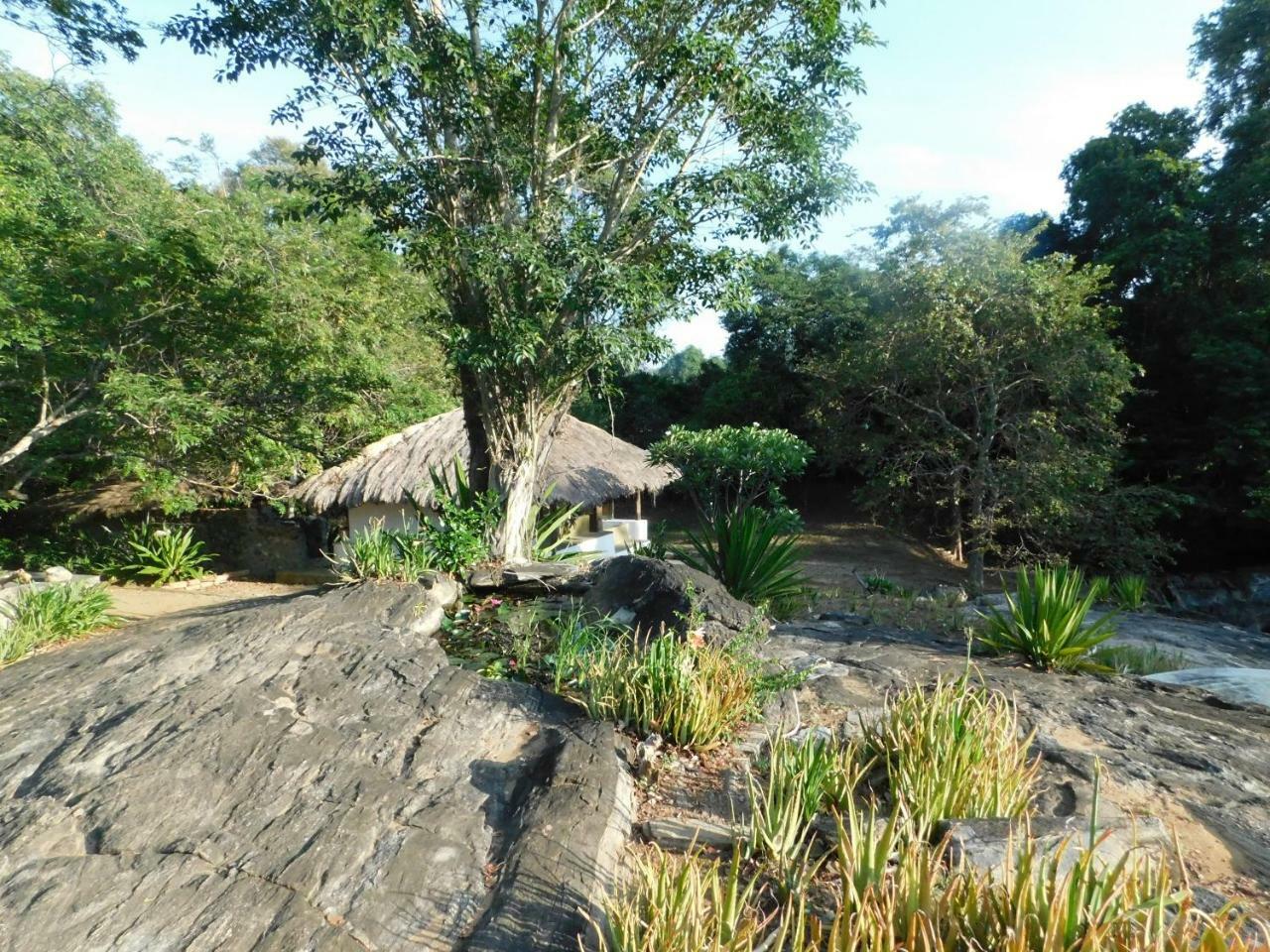 Galapita Eco Lodge Buttala 客房 照片