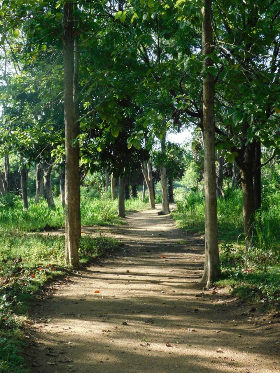 Galapita Eco Lodge Buttala 外观 照片