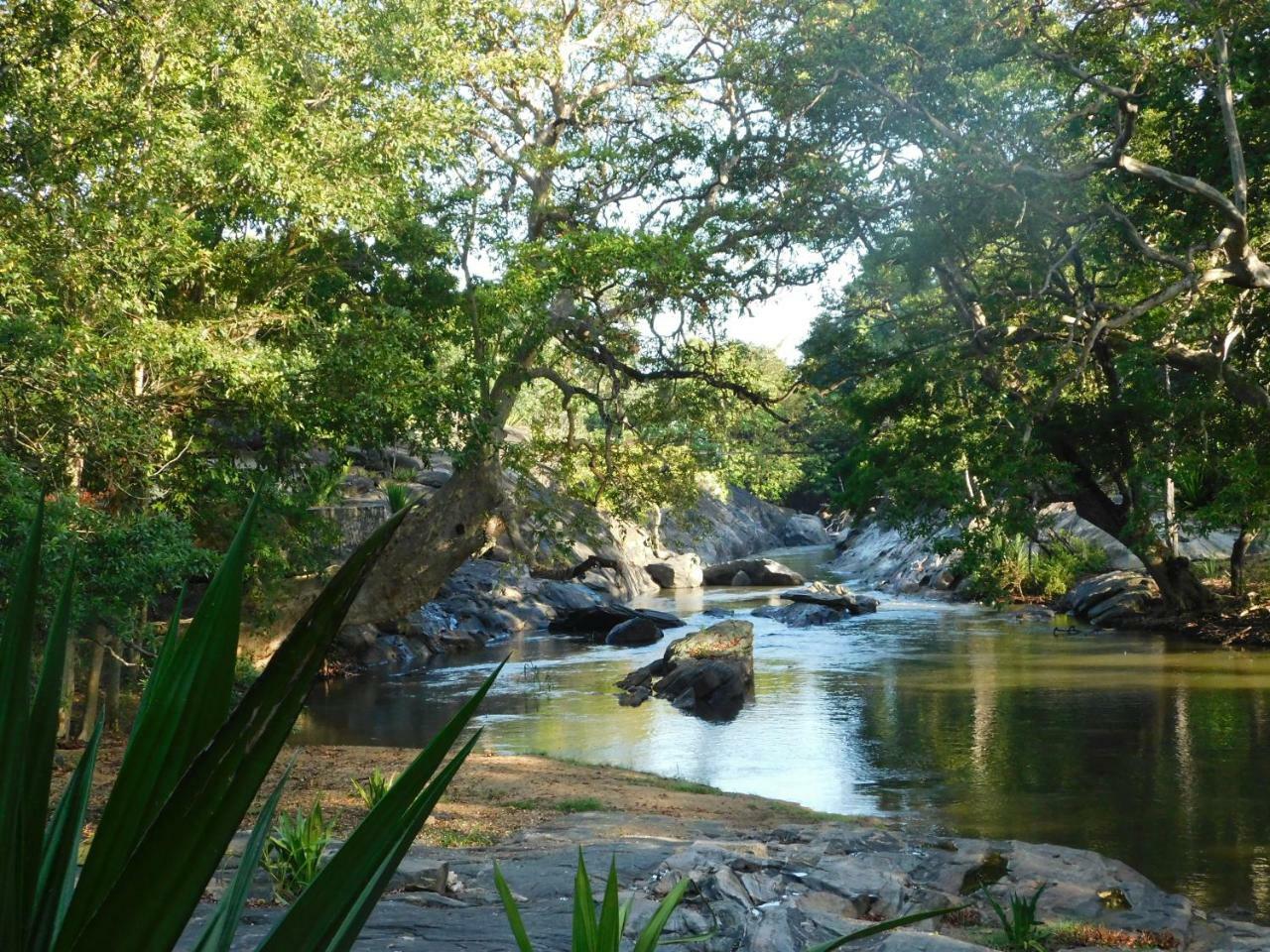 Galapita Eco Lodge Buttala 外观 照片