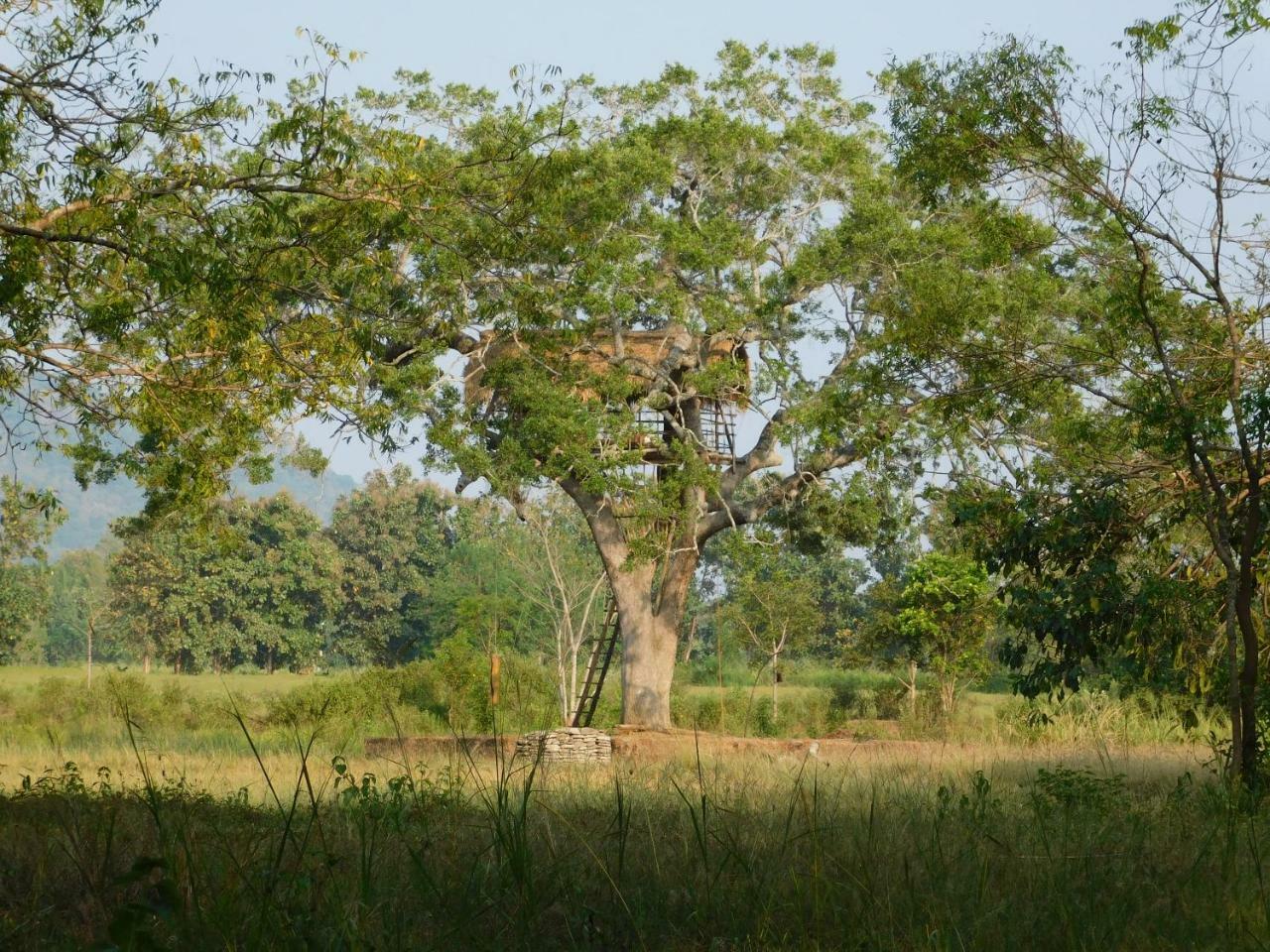 Galapita Eco Lodge Buttala 外观 照片
